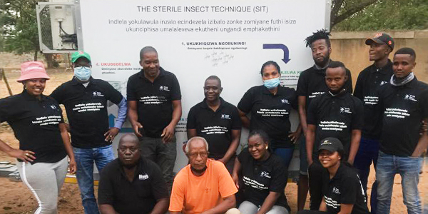 Malaria vector control team prepre to release sterile male mosquitoes in Mamfene Jozini KZN